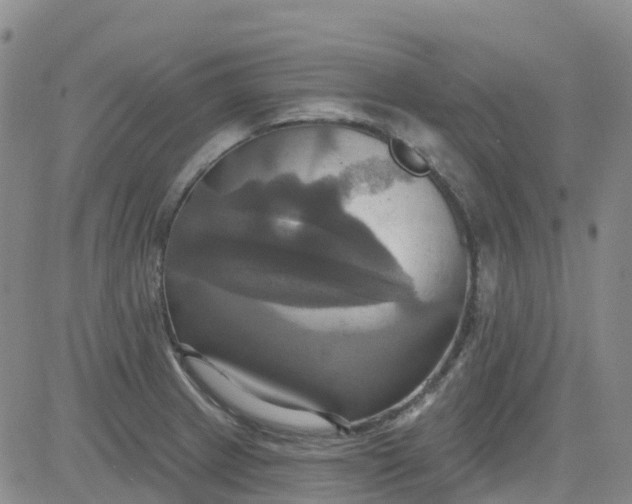 X0000084021233200703022048