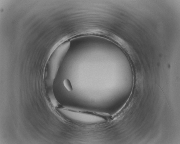 X0000084021234200703022048