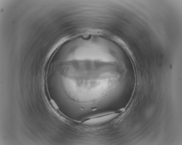 X0000084021235200703022049