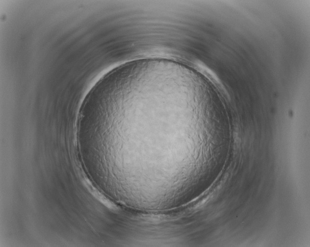 X0000084021236200703022049