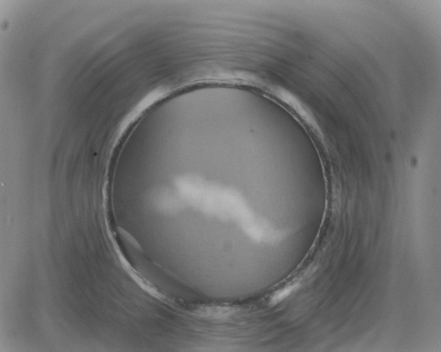 X0000084021237200703022049