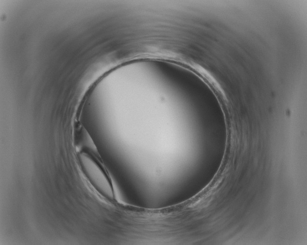 X0000084021238200703022049