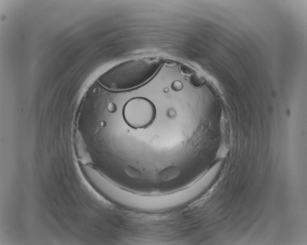 X0000084021239200703022049