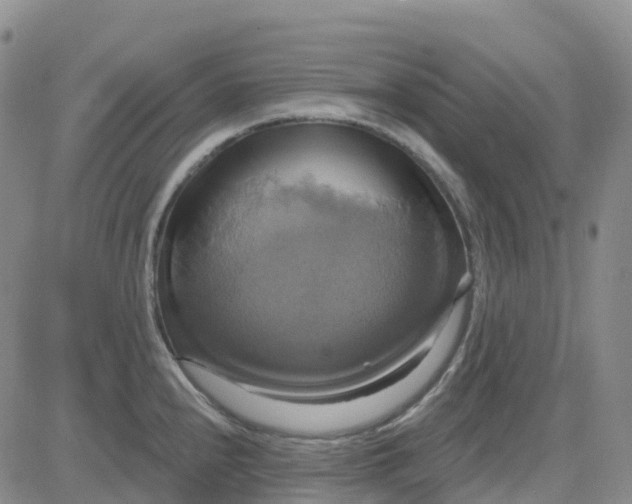 X0000084021240200703022049