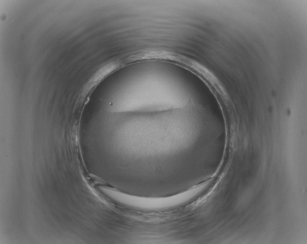 X0000084021241200703022049