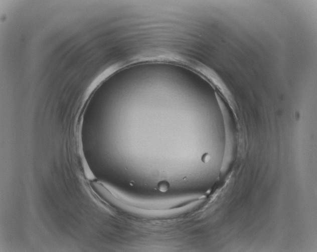 X0000084021242200703022049