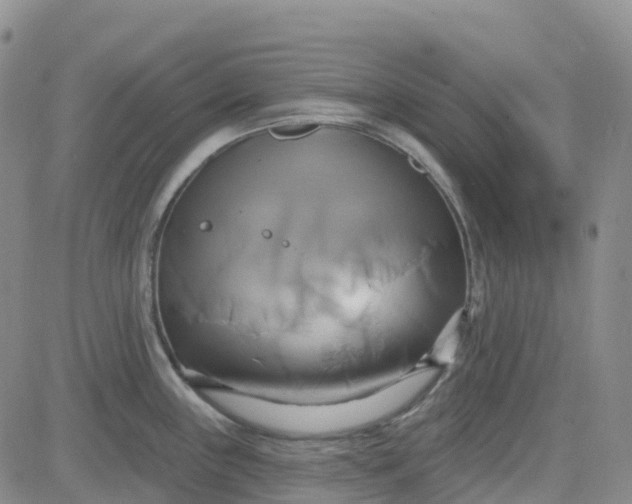 X0000084021243200703022049