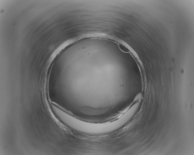 X0000084021245200703022049