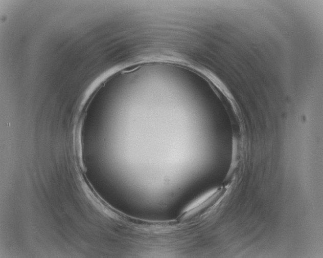 X0000084021246200703022049