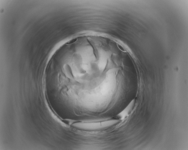 X0000084021247200703022049