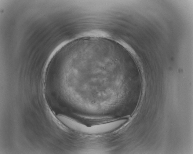 X0000084021248200703022049