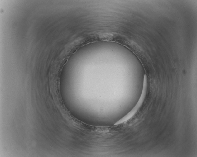 X0000084021249200703022048