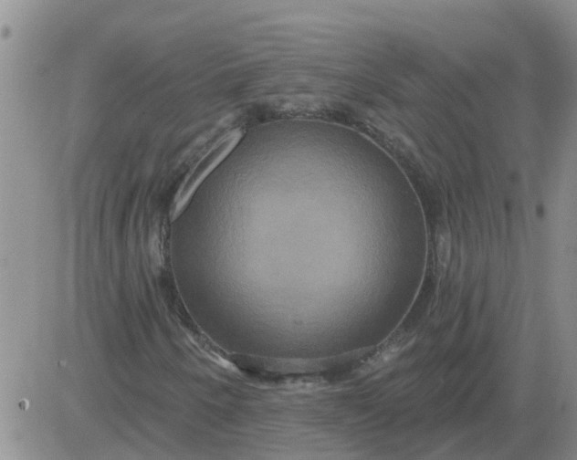 X0000084021250200703022048