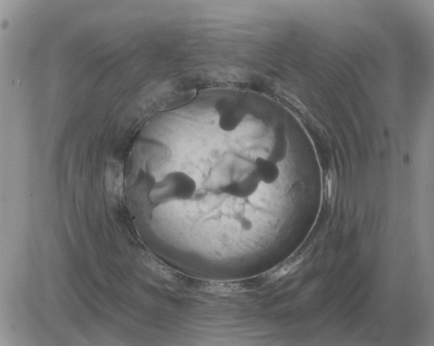 X0000084021251200703022048