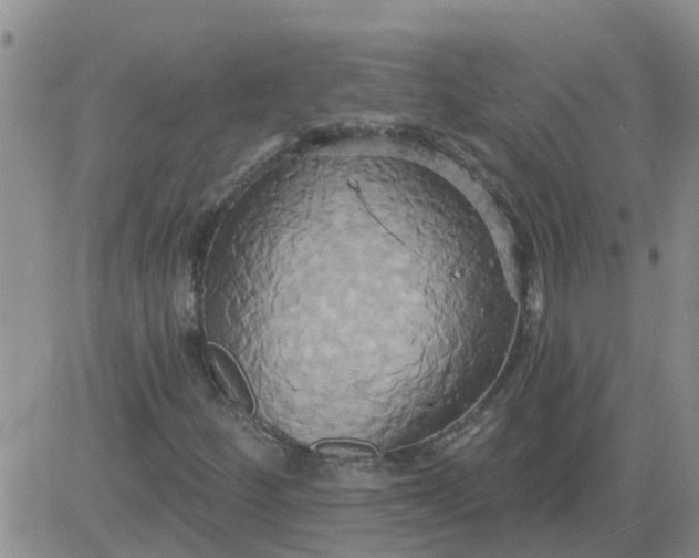 X0000084021252200703022048