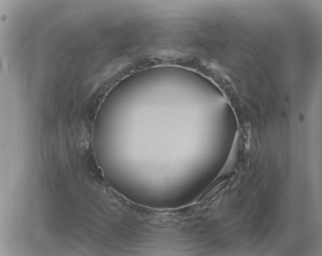 X0000084021253200703022048