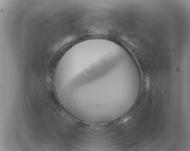 X0000084021254200703022048