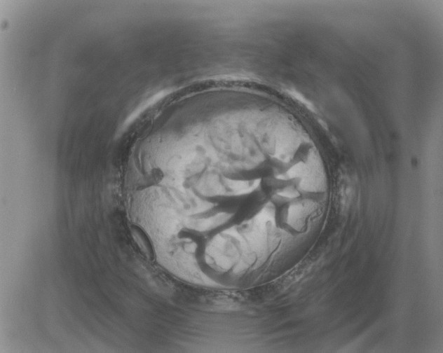 X0000084021255200703022048