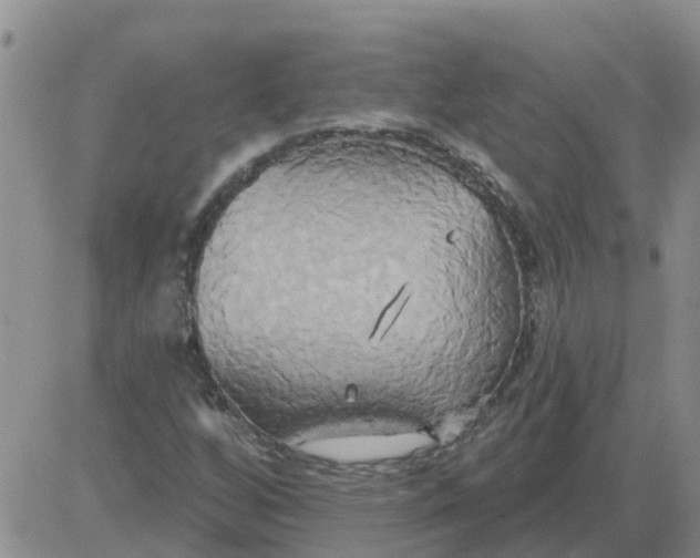 X0000084021256200703022048