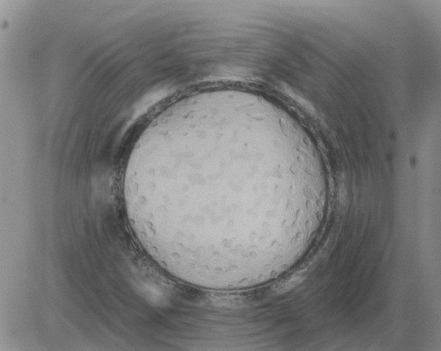 X0000084021258200703022048