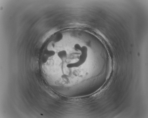 X0000084021259200703022048