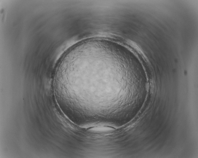 X0000084021260200703022048