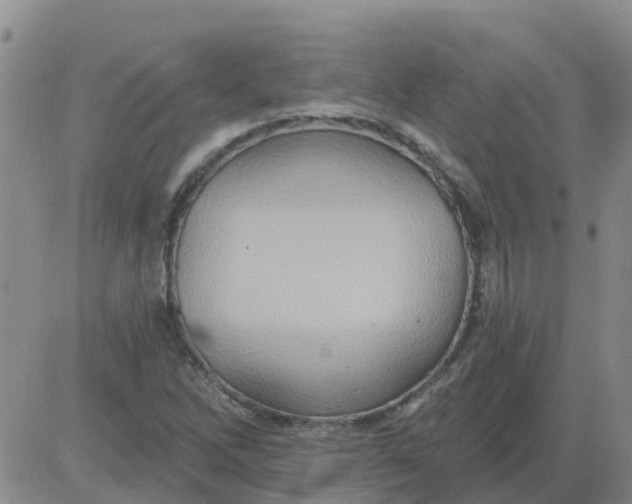 X0000084021262200703022048