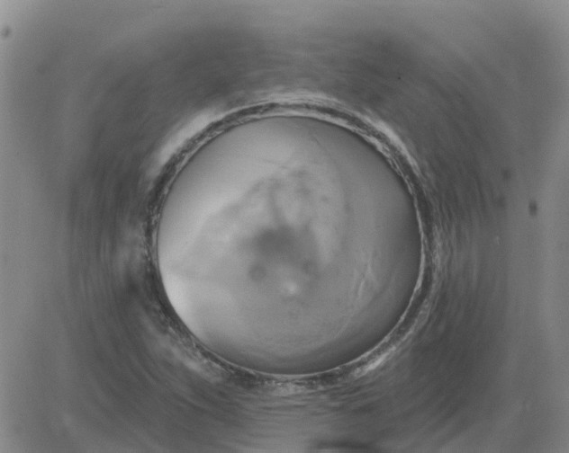 X0000084021263200703022048