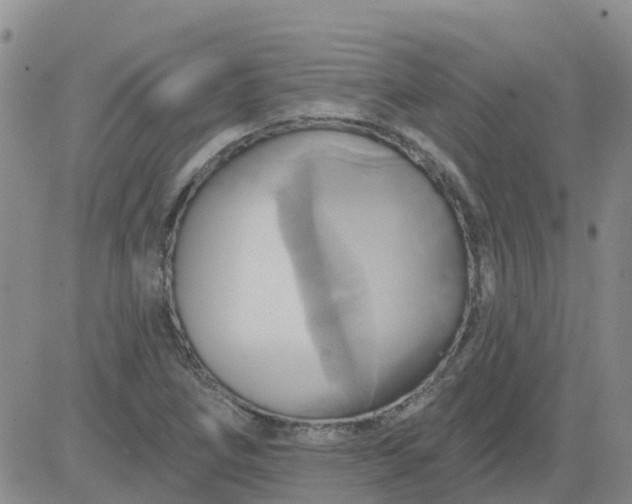 X0000084021266200703022048