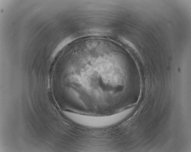 X0000084021267200703022048