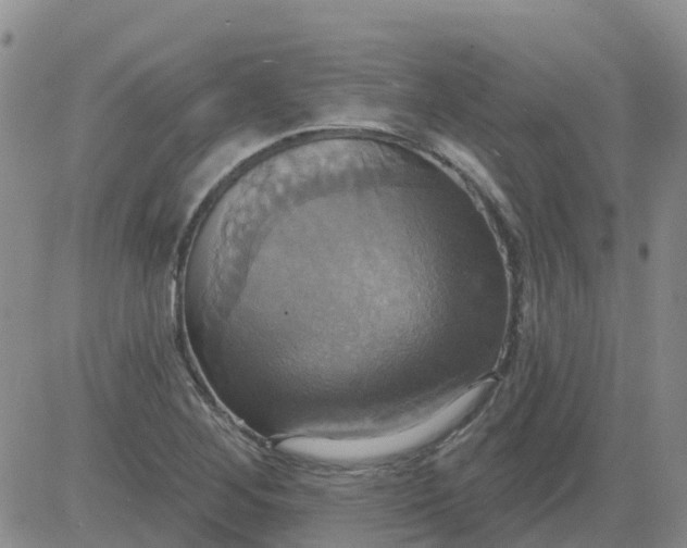 X0000084021268200703022048