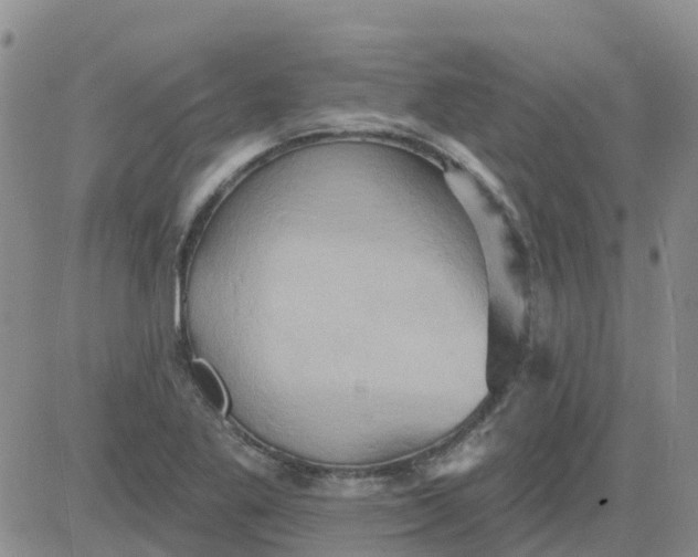 X0000084021269200703022048