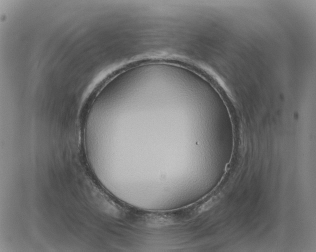 X0000084021270200703022048