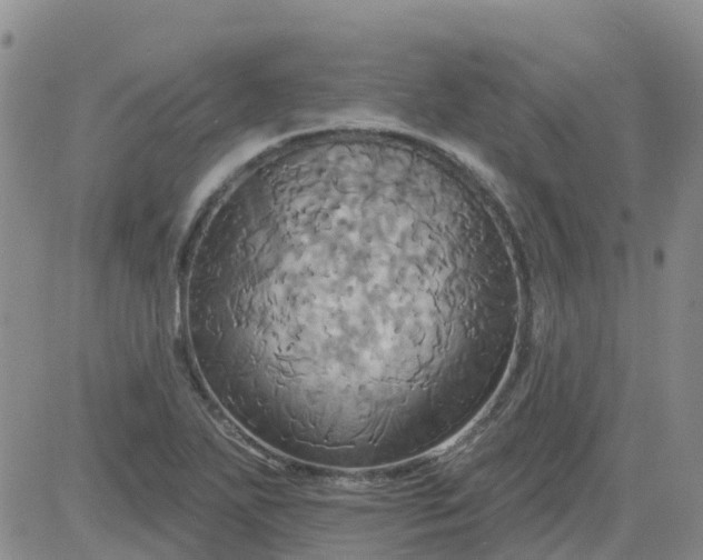 X0000084021271200703022048