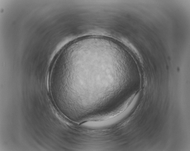 X0000084021272200703022048