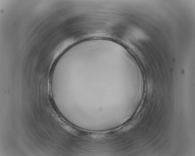 X0000084021274200703022048