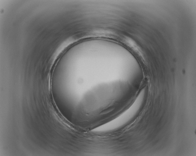 X0000084021275200703022047