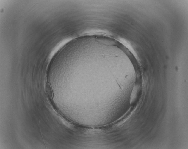 X0000084021277200703022047