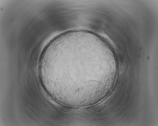 X0000084021278200703022047