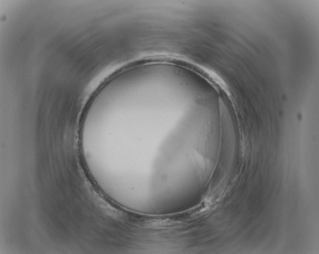 X0000084021279200703022047