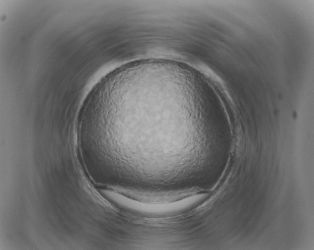 X0000084021280200703022047