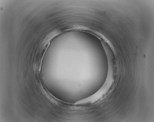 X0000084021281200703022047