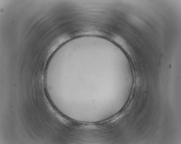 X0000084021282200703022047