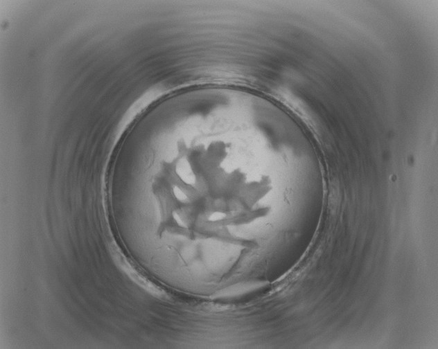 X0000084021283200703022047