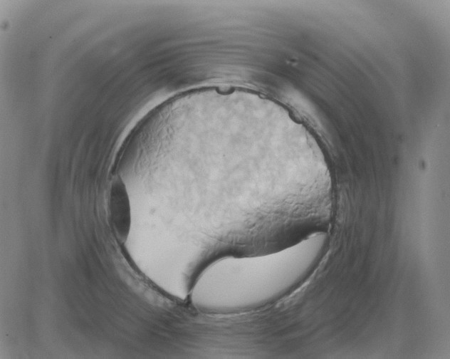 X0000084021284200703022047