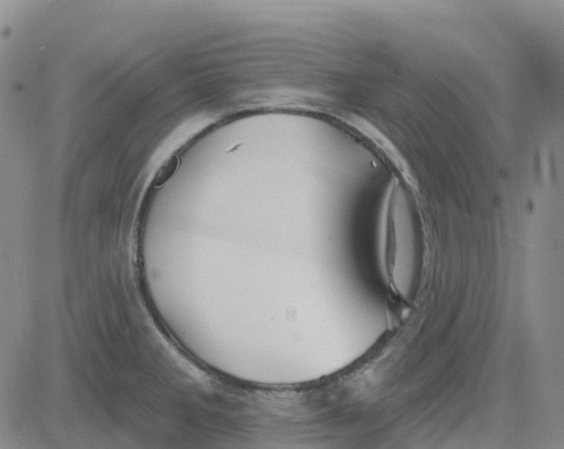 X0000084021285200703022047