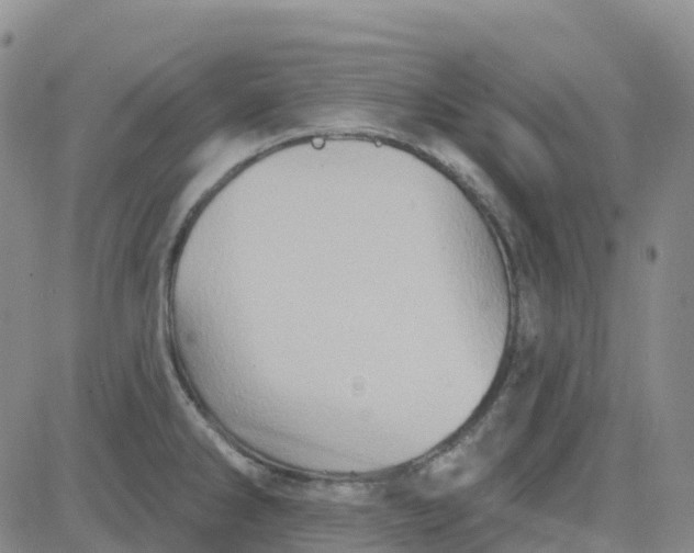 X0000084021286200703022047