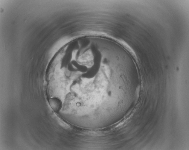 X0000084021287200703022047