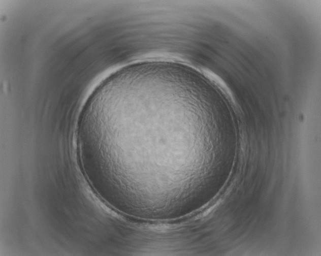 X0000084021288200703022047