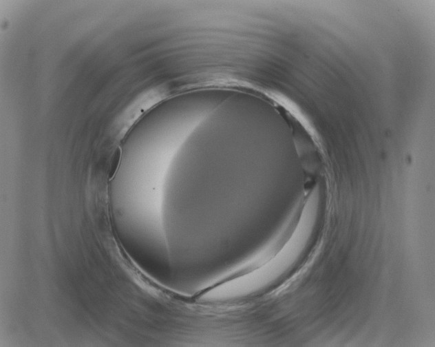 X0000084021289200703022047